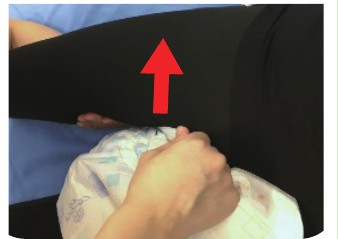 STEP8 おむつの立体ギャザーをそけい部に沿わせる