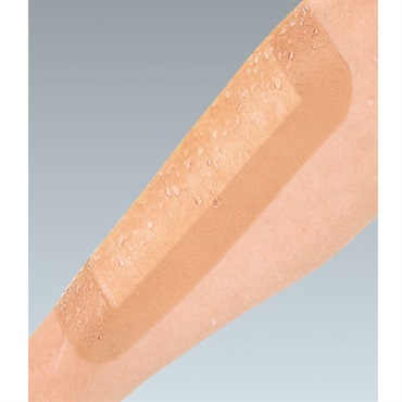 デルマポアドレッシング5号10×16cm　20枚入　_1箱