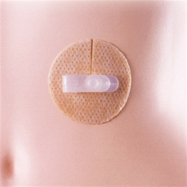 ペグケアー（20枚入）　_1箱