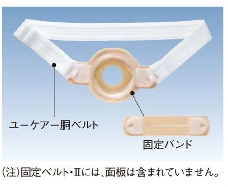 固定ベルトⅡ部品　固定バンド2個入　_1袋