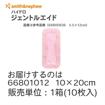 ハイドロ　ジェントルエイド　10×20cm　10枚入　_1箱