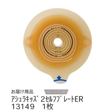 アシュラキッズ2セルフプレートER　13149　_1枚