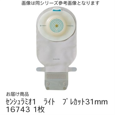 センシュラミオ1　ライト　プレカット31mm　_1枚