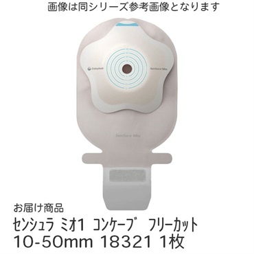 センシュラ　ミオ1　コンケーブ　フリーカット　10-50mm　_1枚