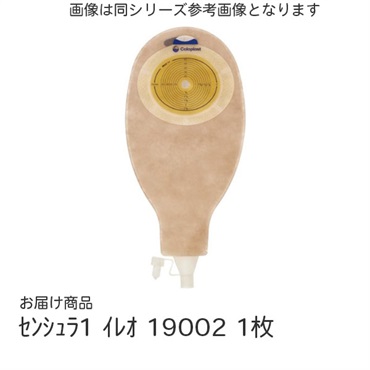 センシュラ1　イレオ　19002　_1枚