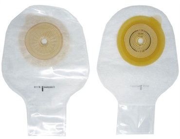 アシュラキッズ1スタンダード　2115　フリーカット10-35mm　_1枚